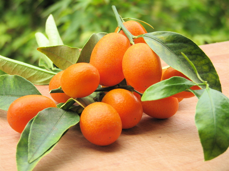 Img_6043_2 Img_6043_2