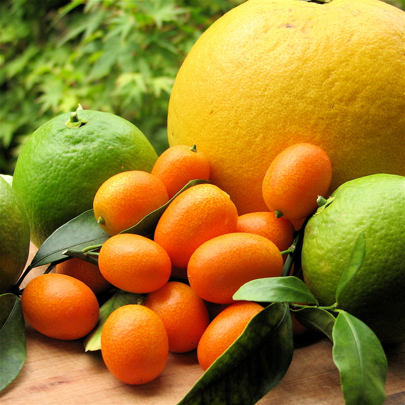 Img_6047_3 Img_6047_3