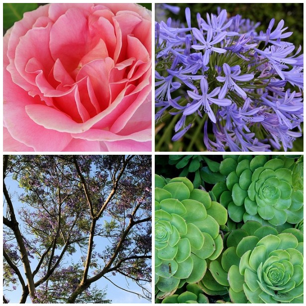 Mosaic7ffc41483fe72030e53b744bc27eff0f42d6b63a(2)