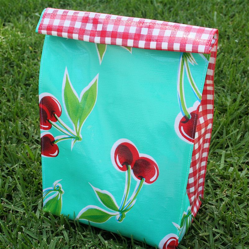 TurquoiseCherryGingham2