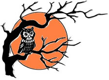 Owl-halloween